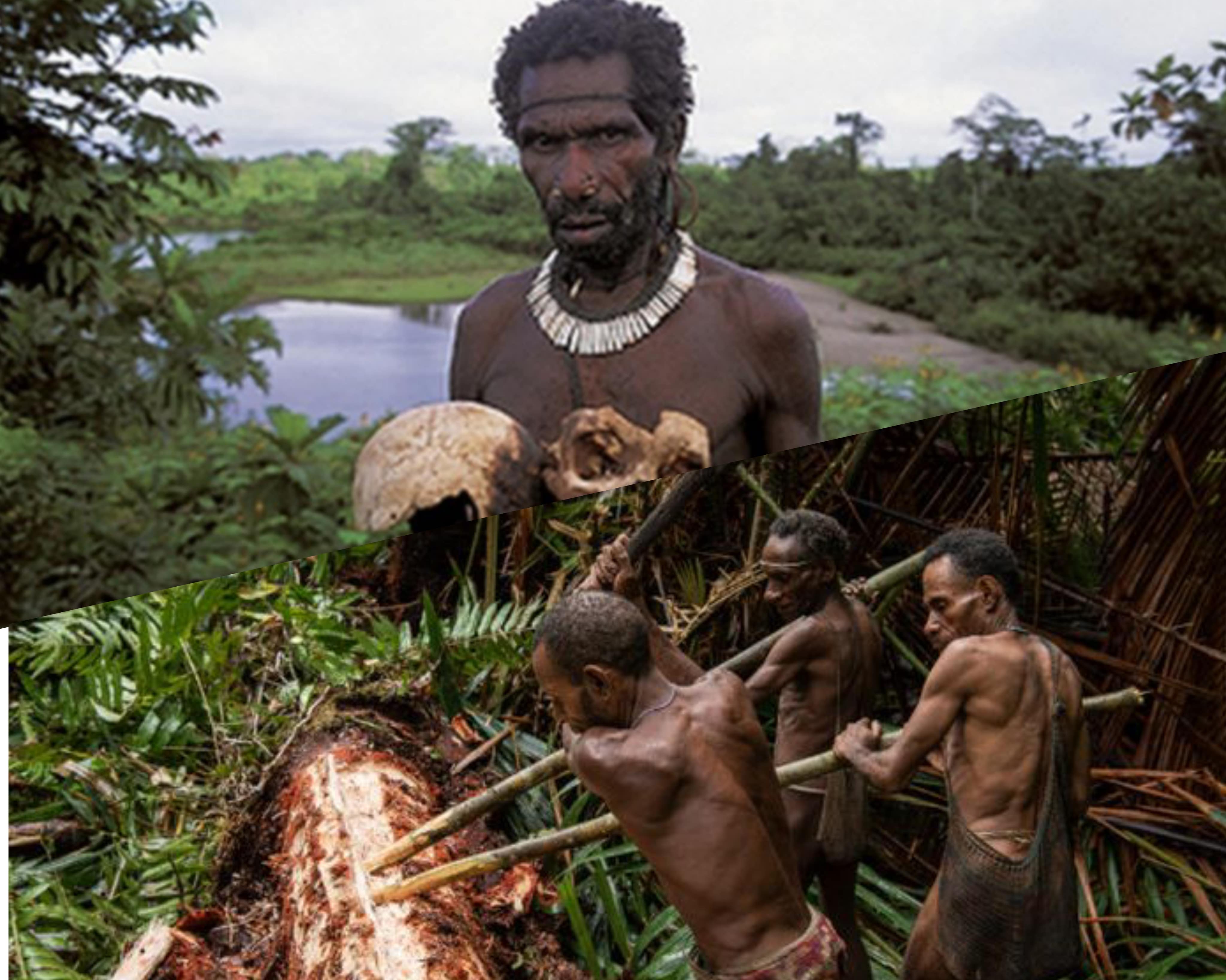 Ternyata Papua Miliki 255 Suku, Salahsatunya Suku Kanibal