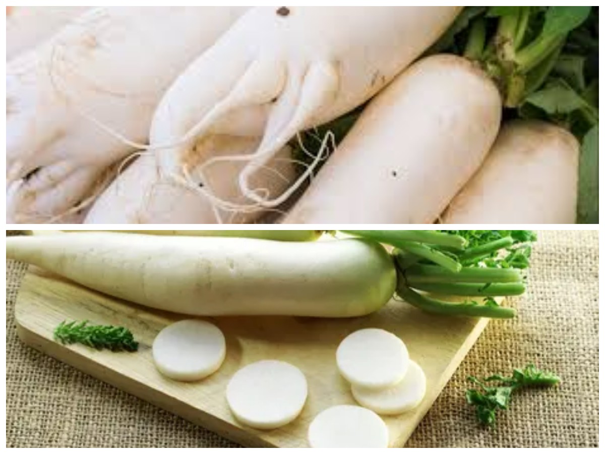 Manfaat Lobak untuk Penderita Asam Urat: Cara Konsumsi yang Aman dan Efektif