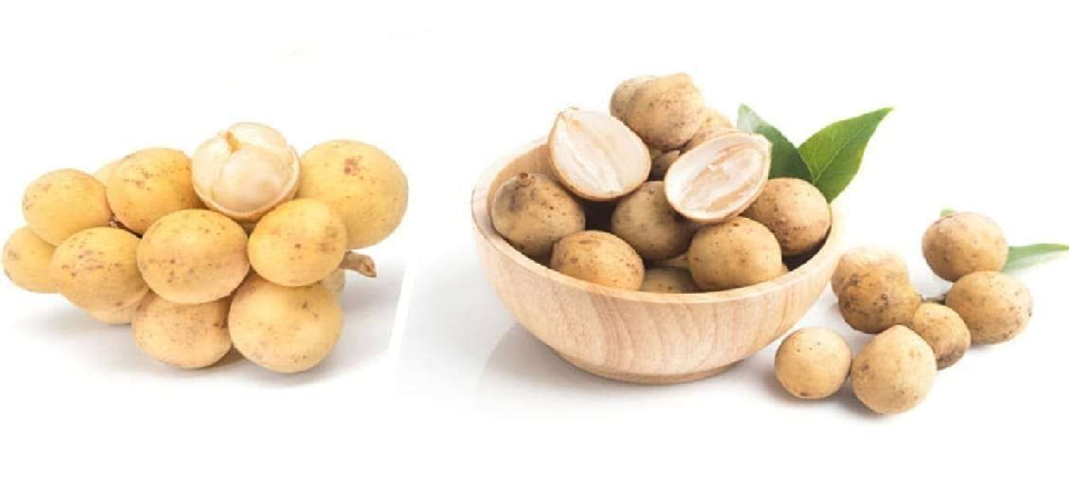 Kenapa Buah Langsat Bisa Jadi Superfood Tropis? Ini Fakta Mengejutkannya!