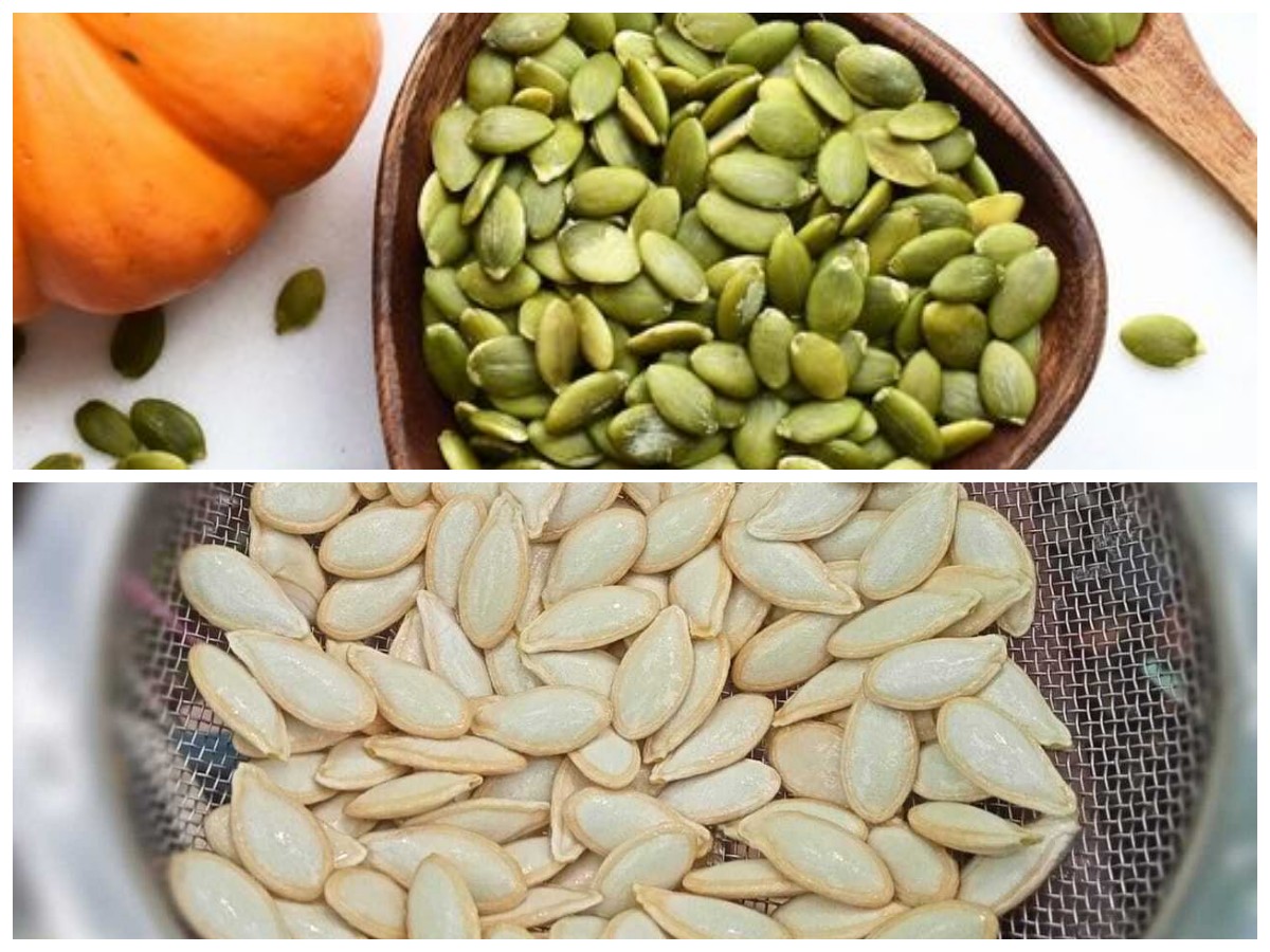 Manfaat Biji Labu untuk Kesehatan: Kaya Nutrisi dan Penuh Khasiat