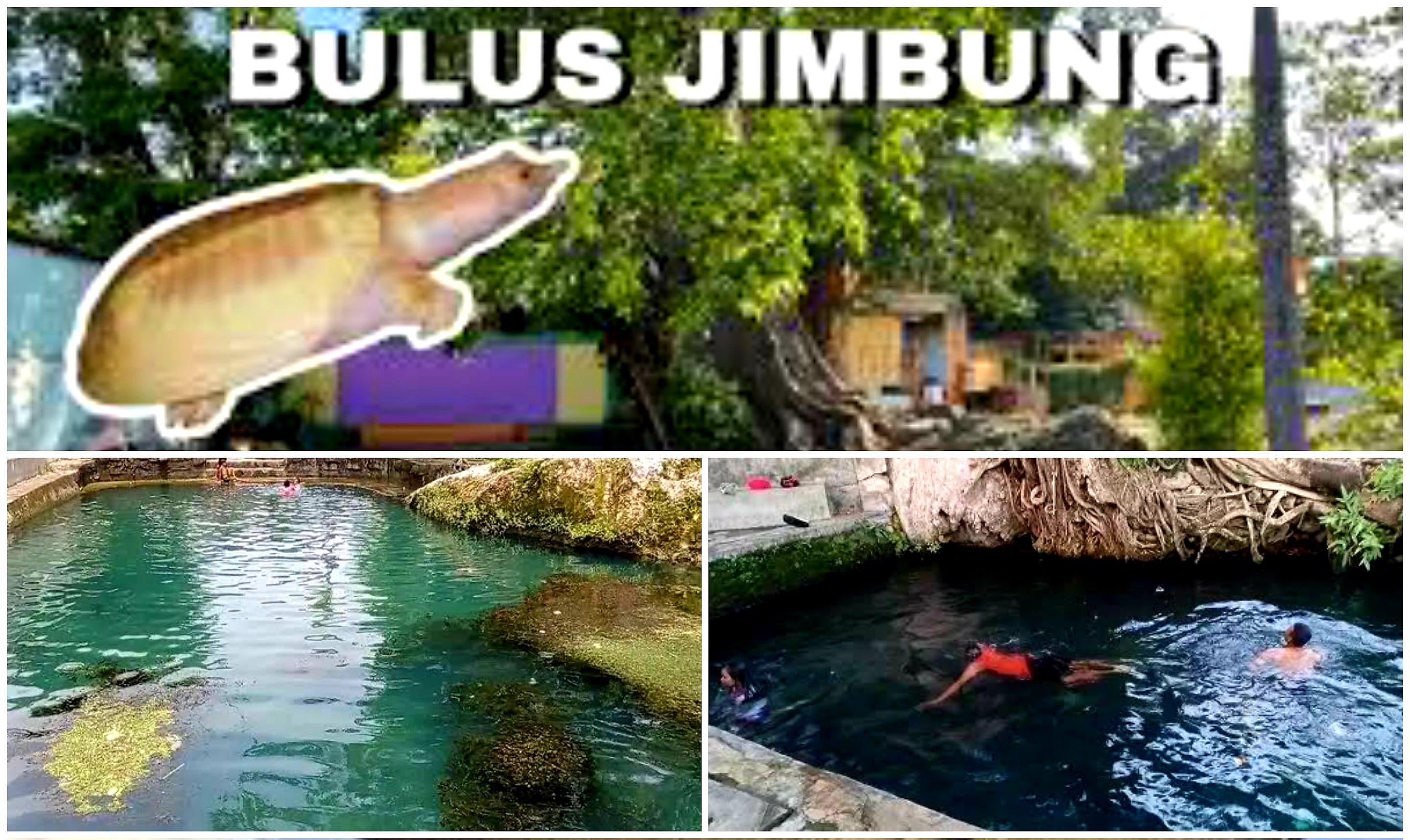 Benarkah Sendang Bulus Jimbung Adalah Tempat Suci yang Dijadikan Ritual Pesugihan? Ini Faktanya!