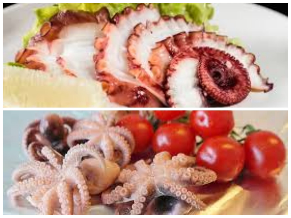 Gurita dan Kesehatan: Kenali Kandungan Nutrisi serta Keuntungannya