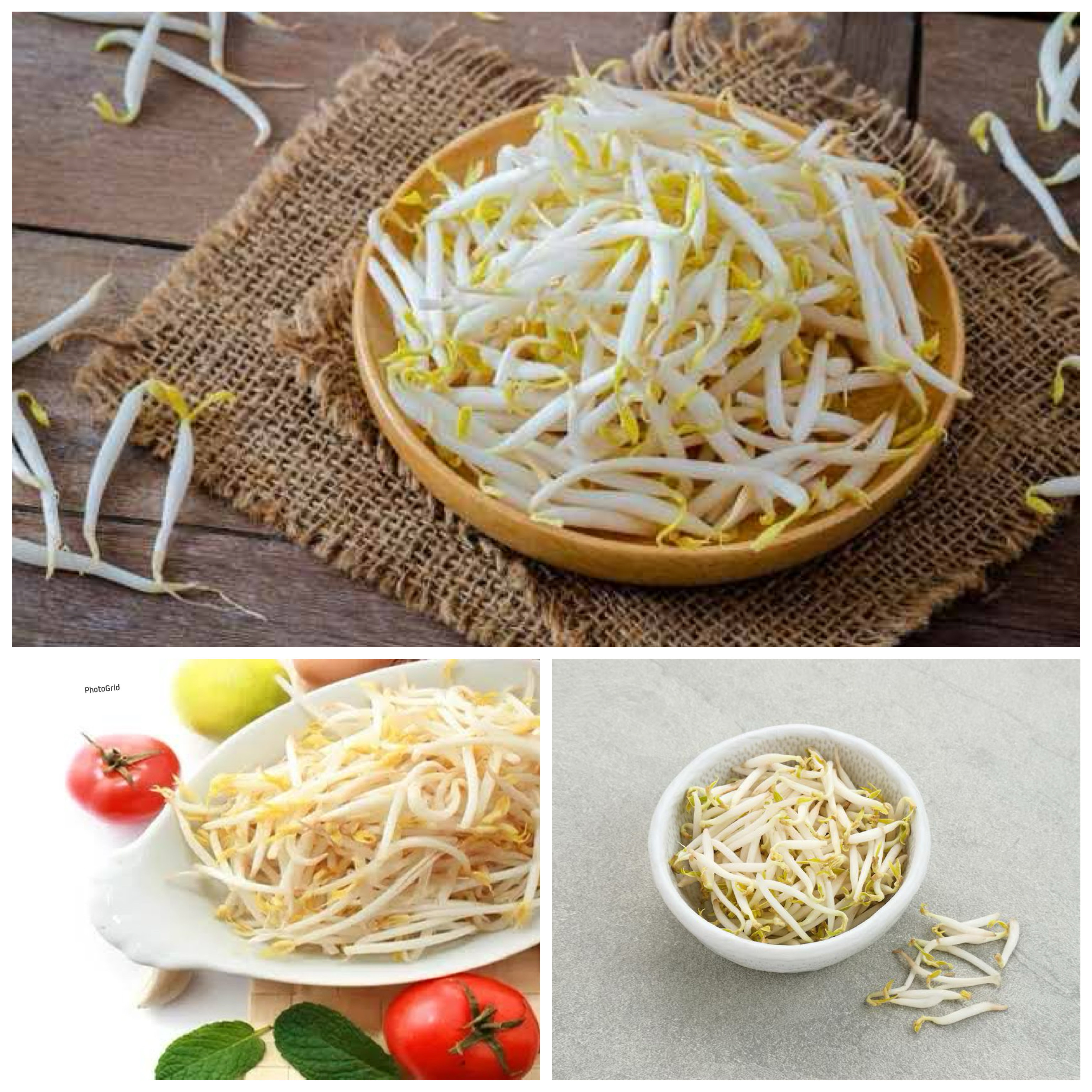 Manfaat Toge bagi Kesehatan Tubuh: Sumber Nutrisi Murah Meriah yang Kaya Khasiat!