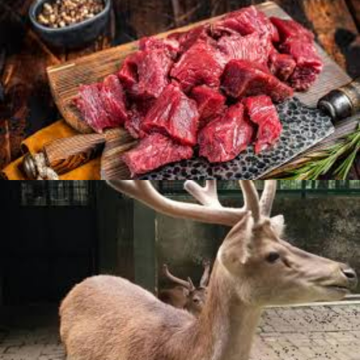 Boleh Dikonsumsi, Ini Manfaat Daging Rusa untuk Kesehatan!