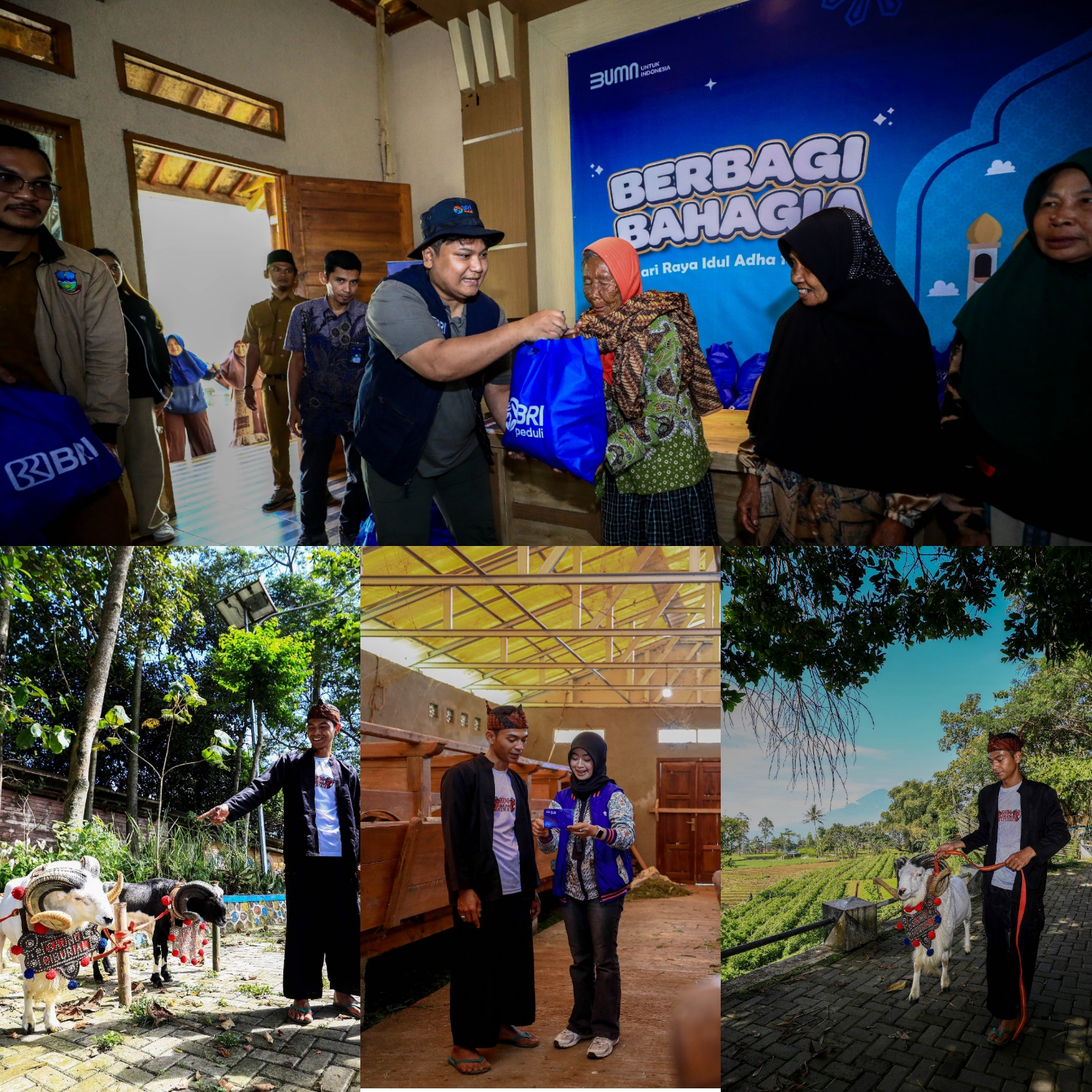 BRI Peduli Dorong Produktivitas Peternak Domba di Desa BRILiaN Sukalaksana Garut