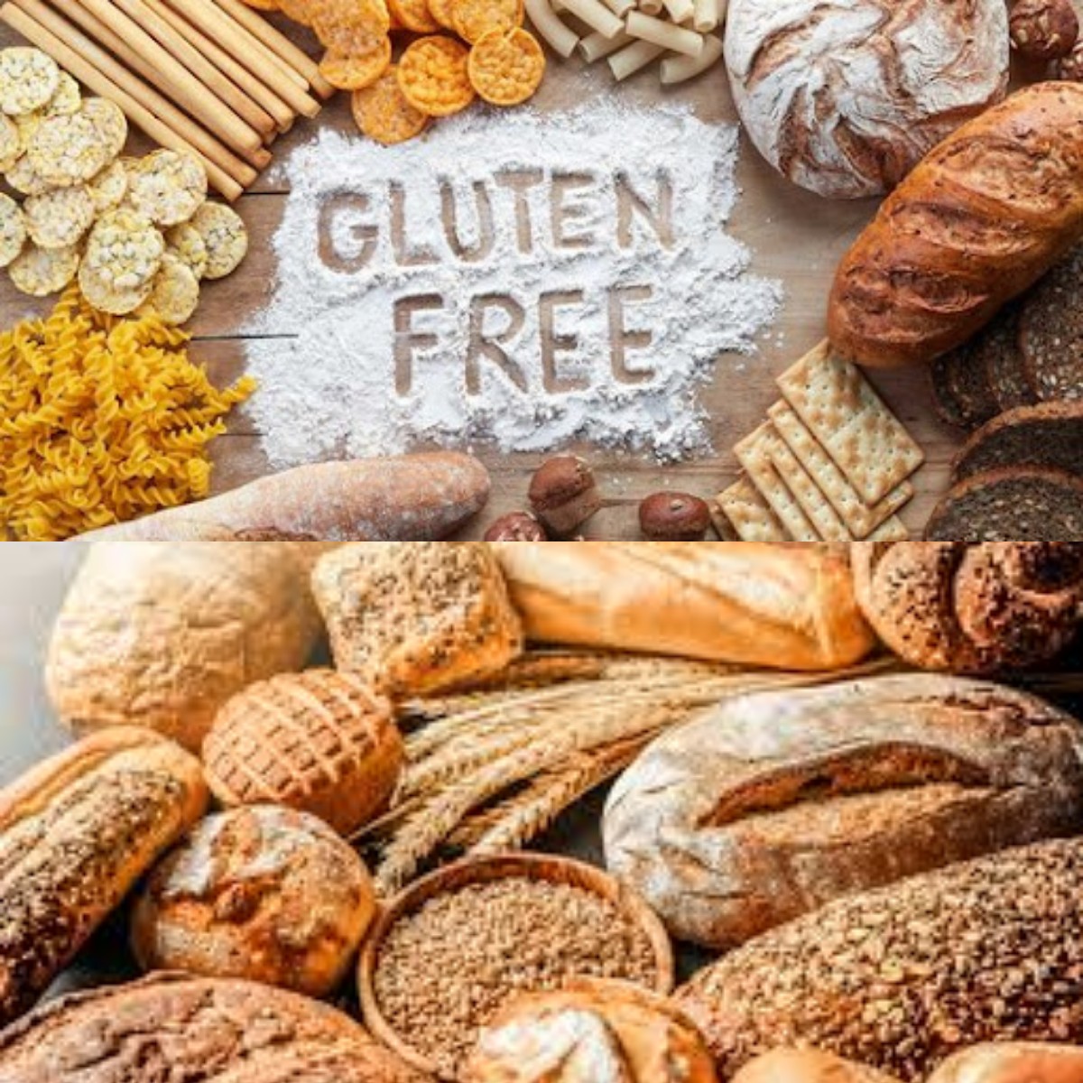 Kenapa Banyak Orang Menghindari Gluten!? Apakah Anda Juga Harus?