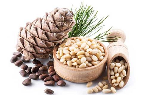 Taukah Kamu? Inilah Manfaat Luar Biasa Kacang Pinus untuk Kesehatan yang Jarang Diketahui! 