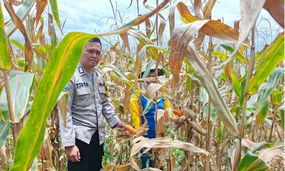 Polsek Dempo Selatan Perkuat Program Ketahanan Pangan
