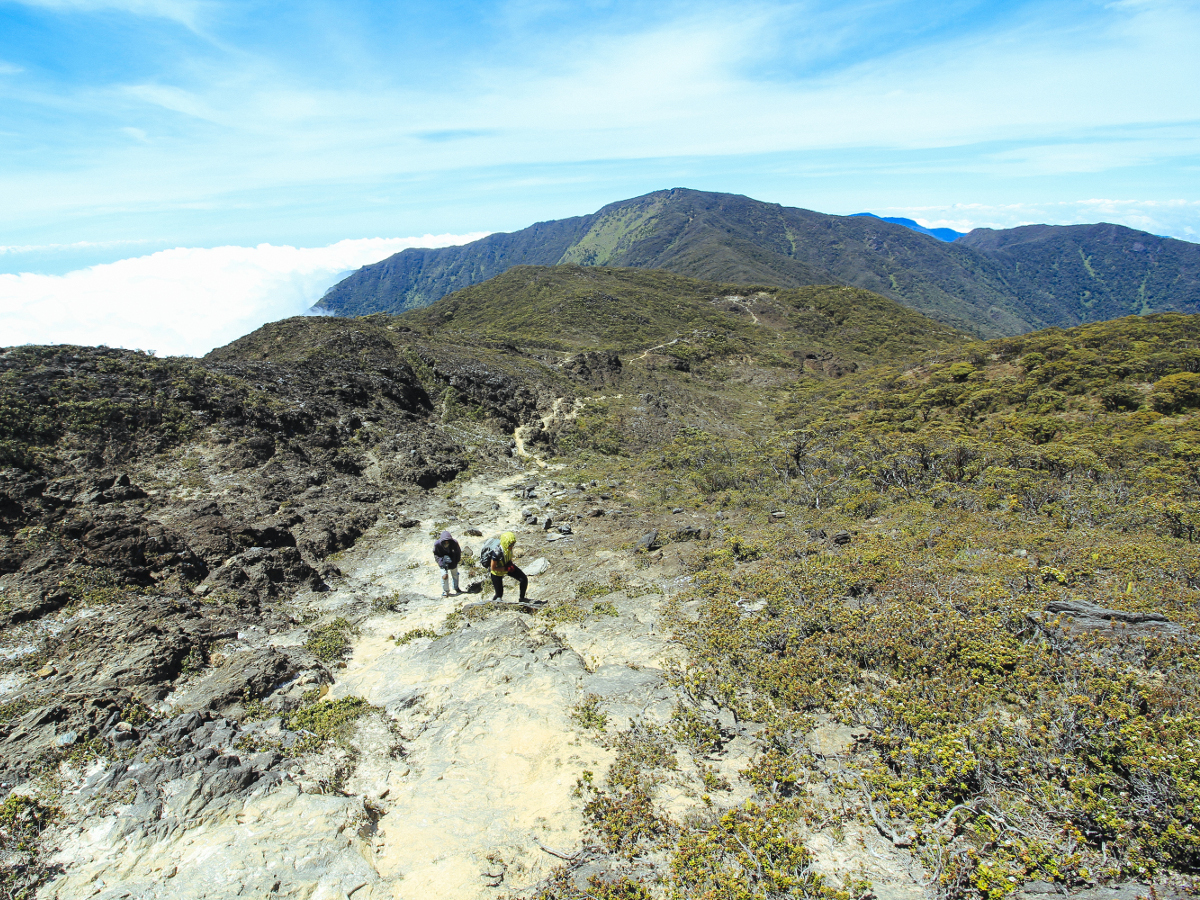 Latimojong: Menguak Cerita dan Keindahan Gunung Tertinggi Sulawesi