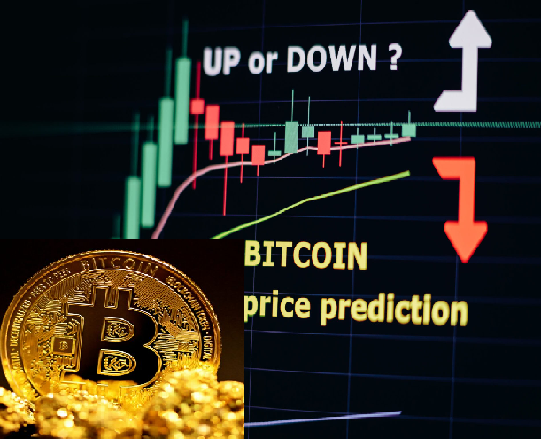 Rahasia Bitcoin: Mengapa Mata Uang Digital Ini Bisa Kalahkan Inflasi dan Emas?