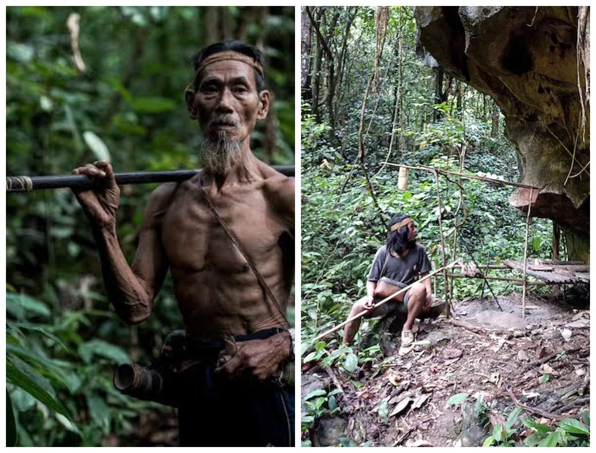 Mengenal Kehidupan Suku Punan Batu, Begini Identitas dan Kelangsungan Manusia di Pulau Kalimantan