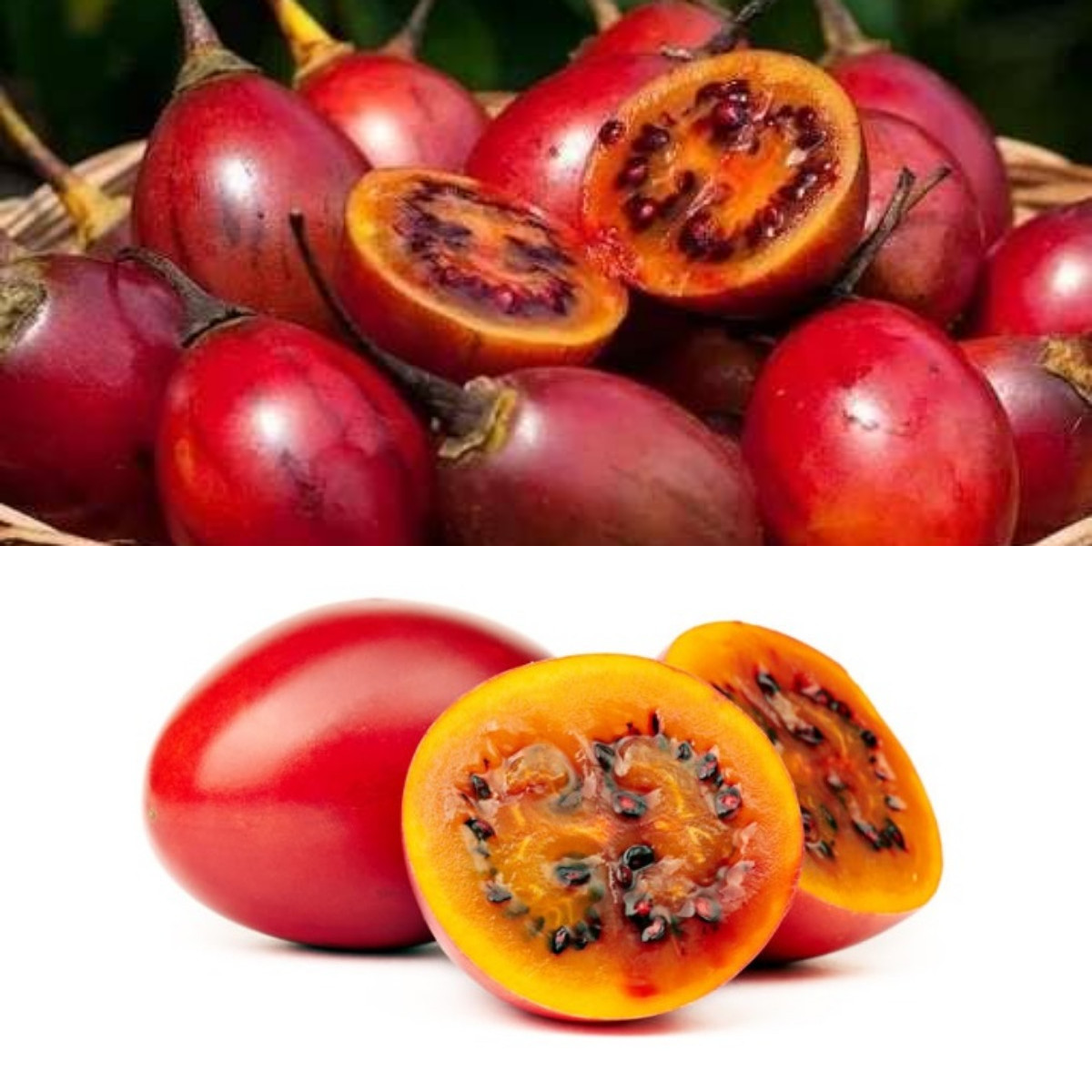 Wow Inilah Khasiat Terong Belanda, Buah Asam Penuh Vitamin C!