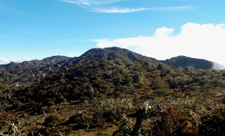 Gunung Kemiri: Sejarah, Makna Budaya, dan Perjuangan di Tanah Aceh