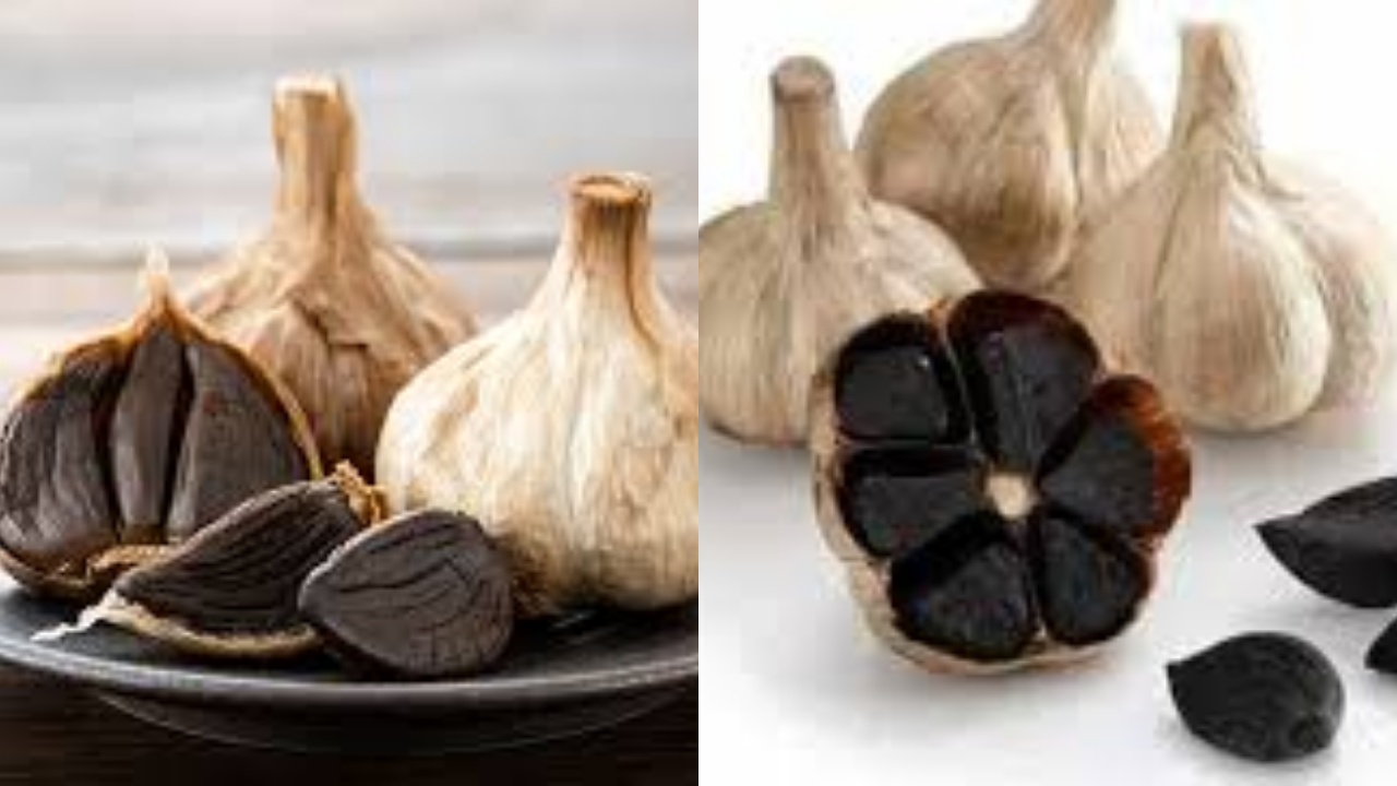 Segudang Manfaat Bawang Hitam Untuk Kesehatan Tubuh Yang Jarang Diketahui!