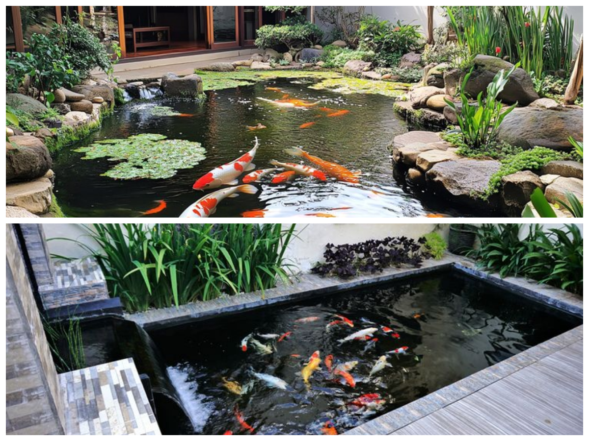 Hadirkan Ketenangan di Rumah dengan Kolam Ikan Minimalis yang Estetik