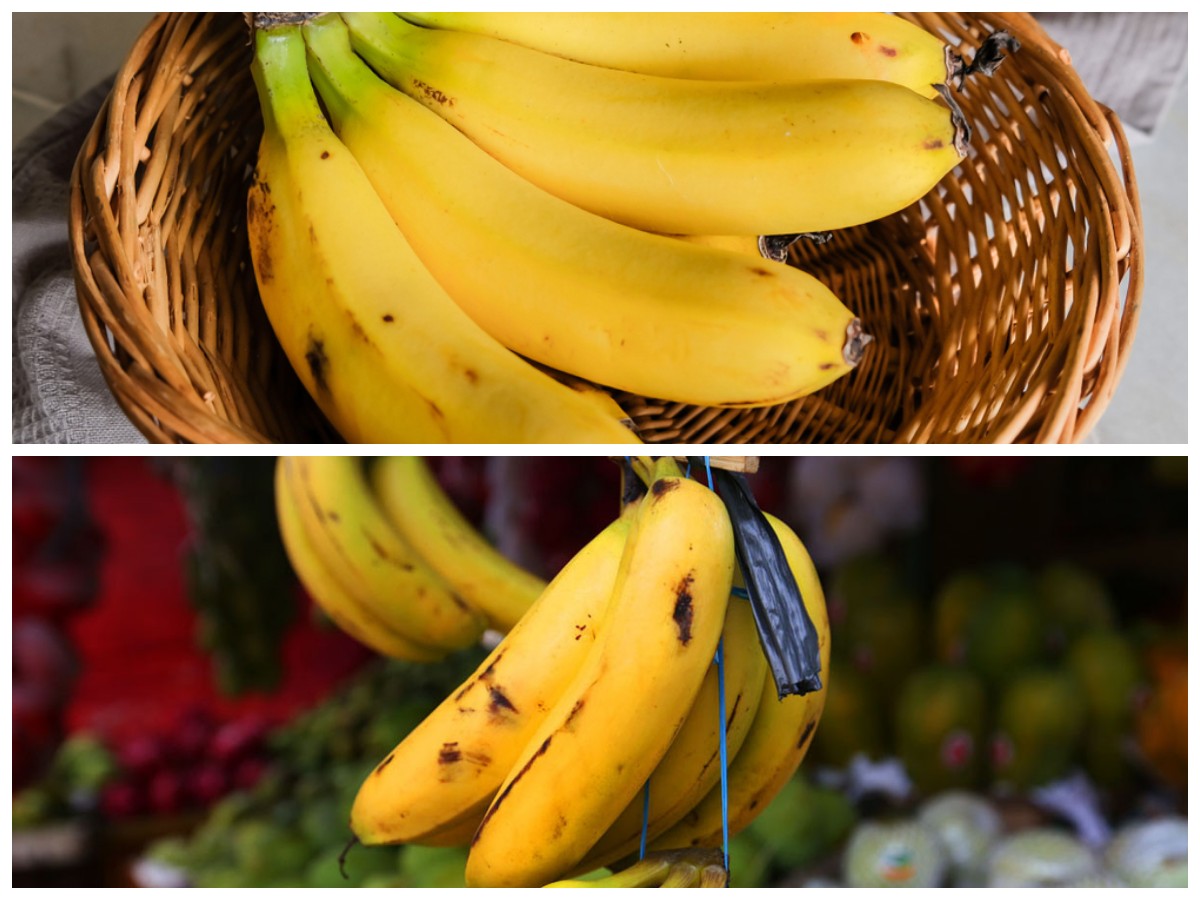 Hebatnya Pisang Ambon! Buah Sederhana dengan Manfaat Besar untuk Stamina dan Daya Tahan Tubuh