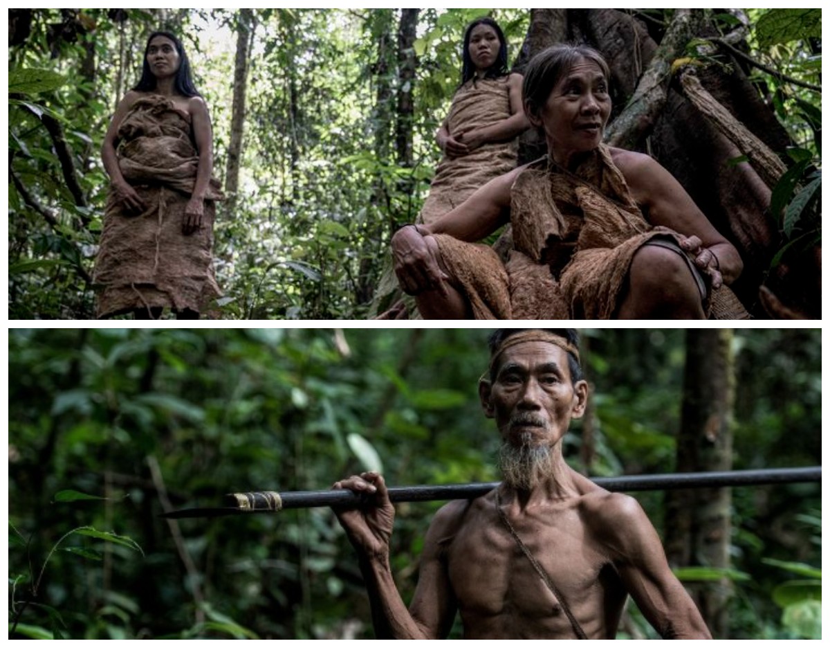 Menelusuri Jejak Kehidupan Suku Punan Batu!  Si Pemburu dan Peramu di Gunung Batu Benau