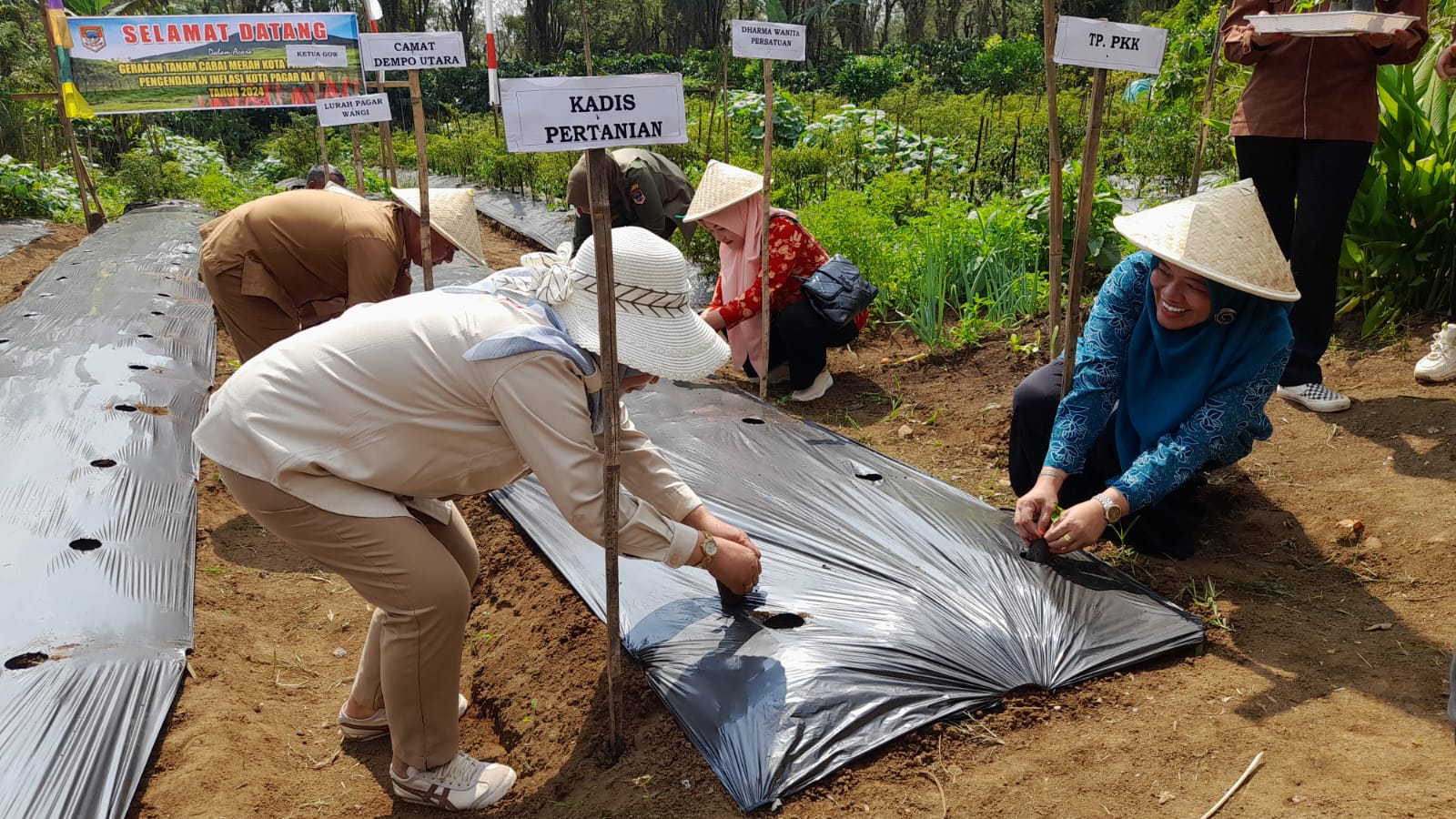 Kota Pagar Alam Dorong Produksi Cabai dan Bawang Merah Melalui Gerakan Tanam Serentak
