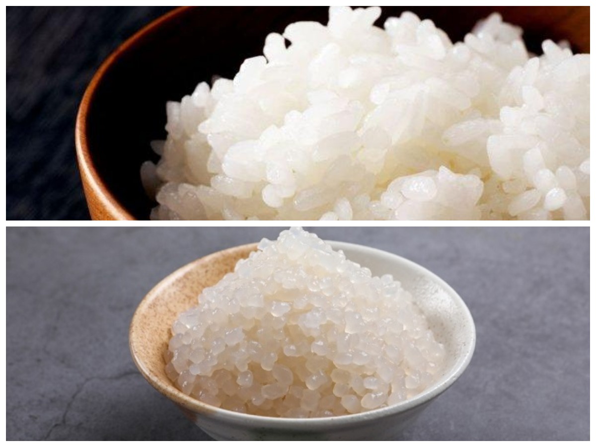 Shirataki, Alternatif Nasi Rendah Kalori: Kenali Manfaatnya untuk Tubuhmu!