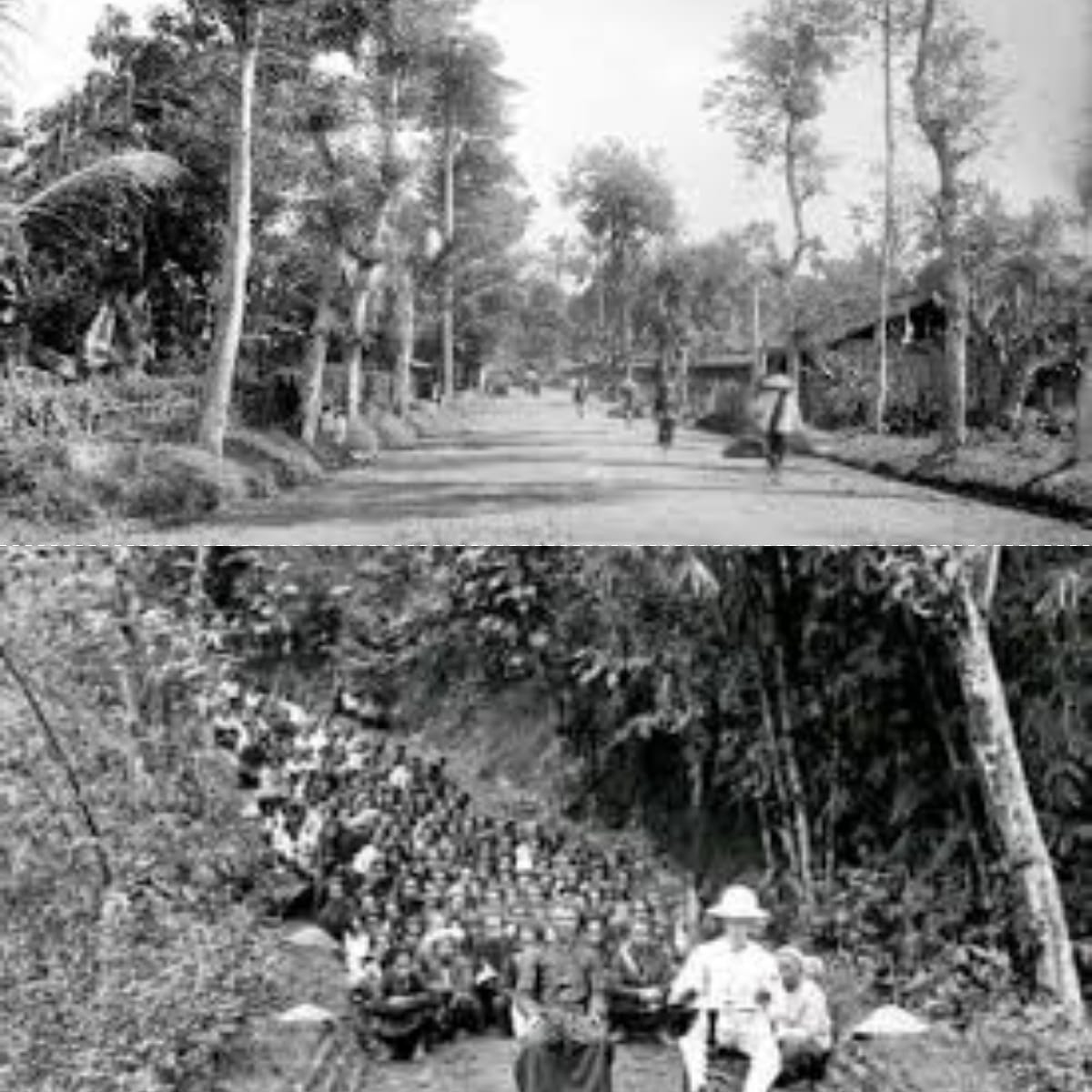 Sejarah Jalan Anyer-Panarukan, Dibangun di Atas Penderitaan Rakyat? Fakta Mengejutkan dari Kitab Lama