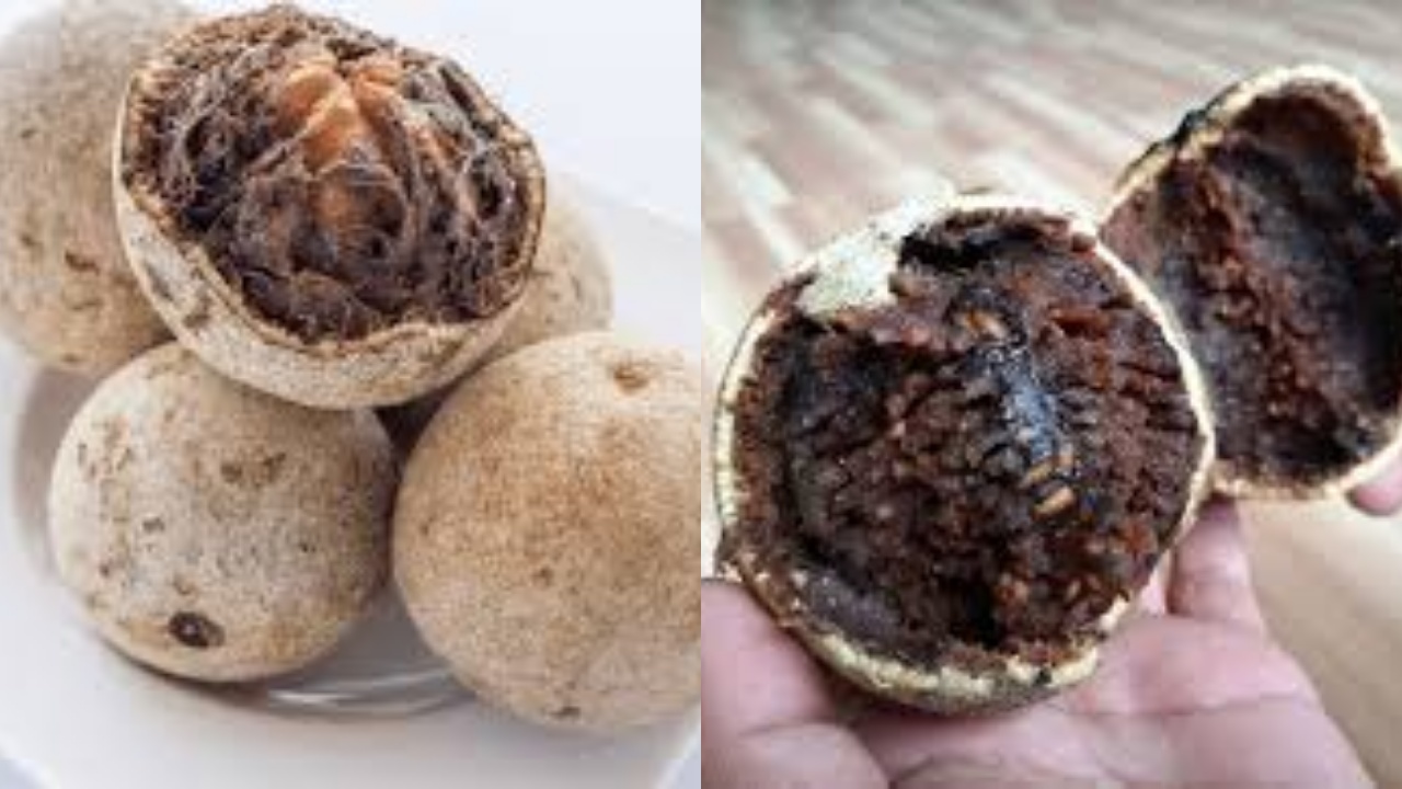 Jarang Diketahui Teryata Ini Manfaat Dari Buah Kawista Untuk Kesehatan Tubuh Yang Luar Biasa! 