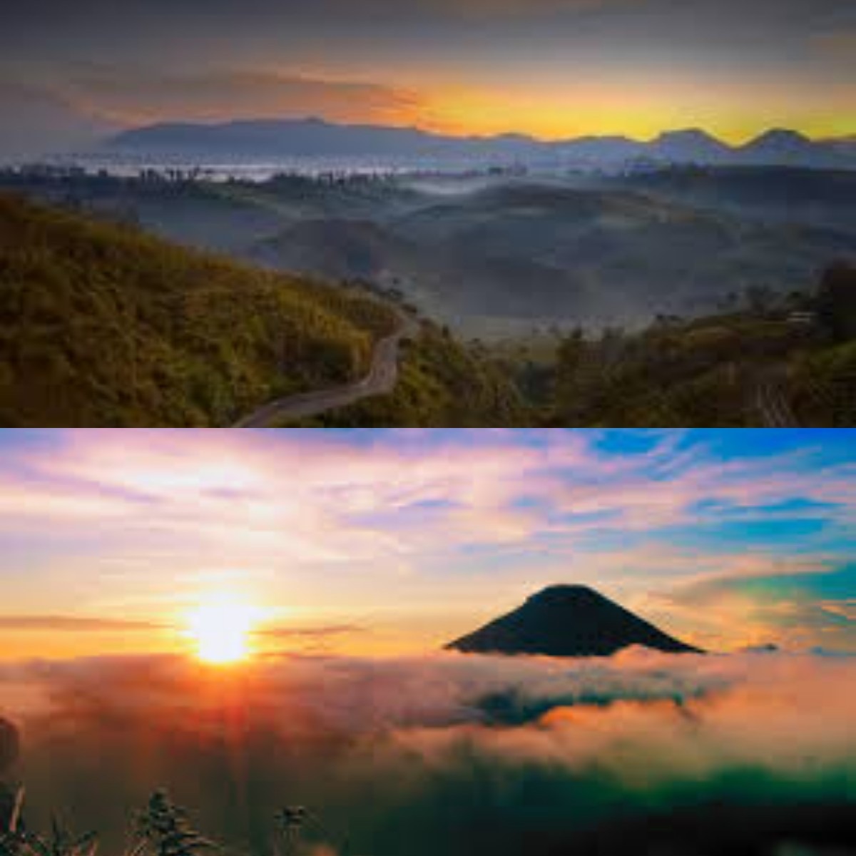 Yuk Nikmati Keindahan Bukit Matahari yang Jadi Spot Favorit Wisata Alam