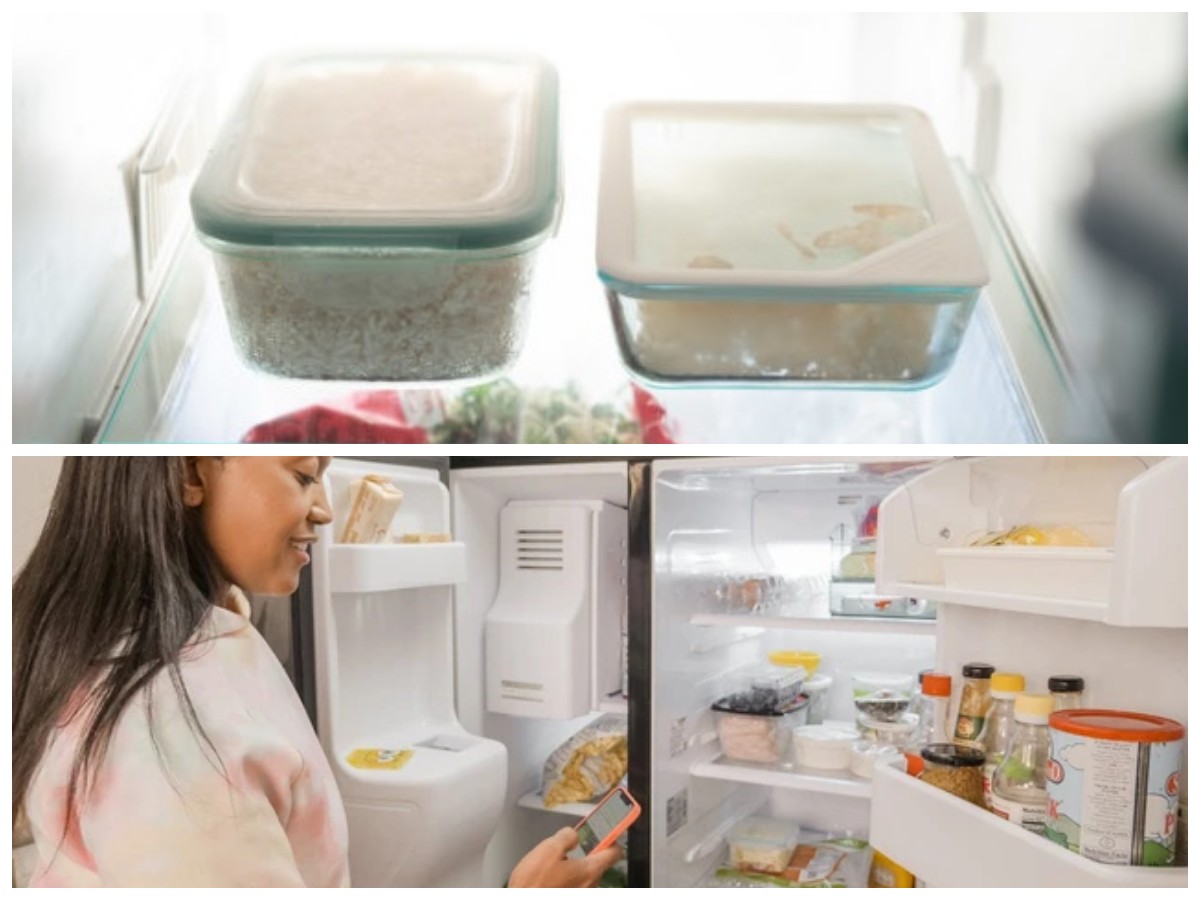 Simpan Nasi di Kulkas? Ternyata Ada 3 Manfaat Penting yang Perlu Kamu Tahu!