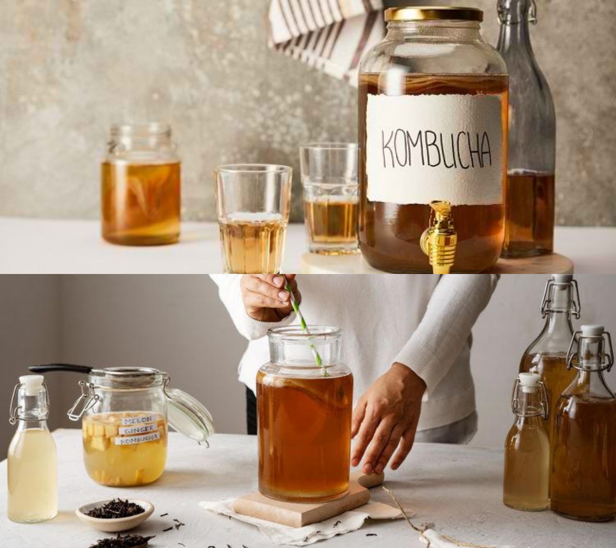  Manfaat Teh Kombucha, Teh ini Populer di banyak Negara, karena Manfaatnya yang Berlimpah!