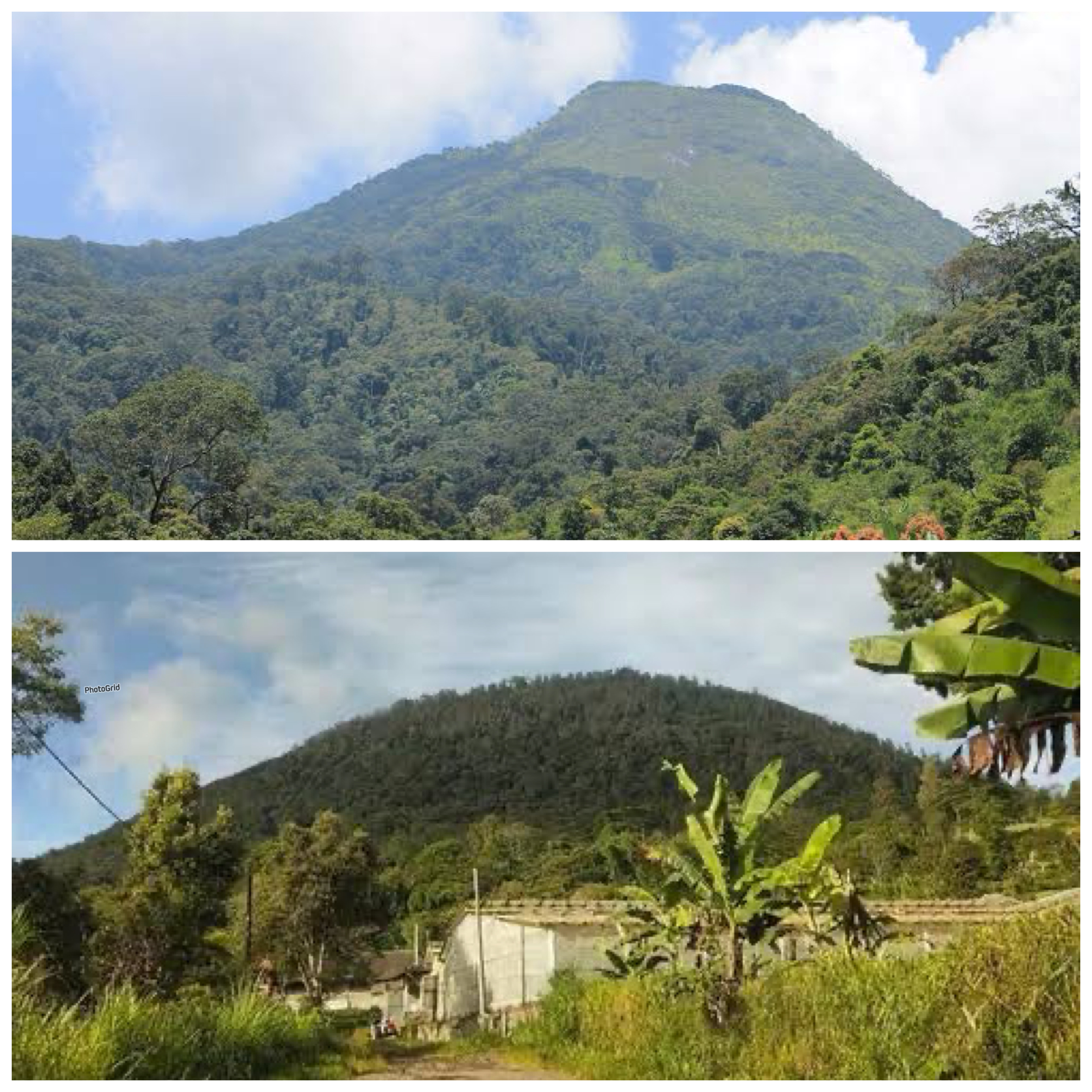 Sejarah Gunung Pohen: Misteri dan Keindahan Alam Bali