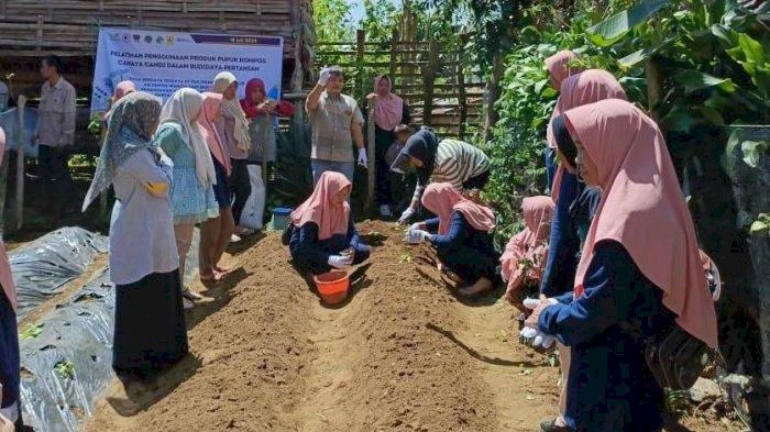 PLN UID S2JB Antar UMKM Wanita Tani Beguyur Sabet Penghargaan Nasional