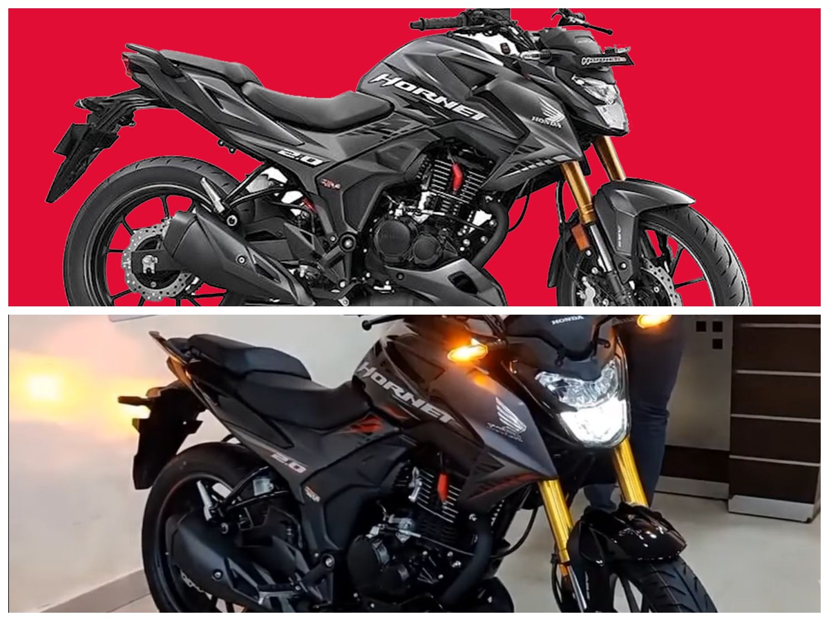 Motor Tiger Reborn: Mengulas Fitur Canggih dan Desain Terbarunya