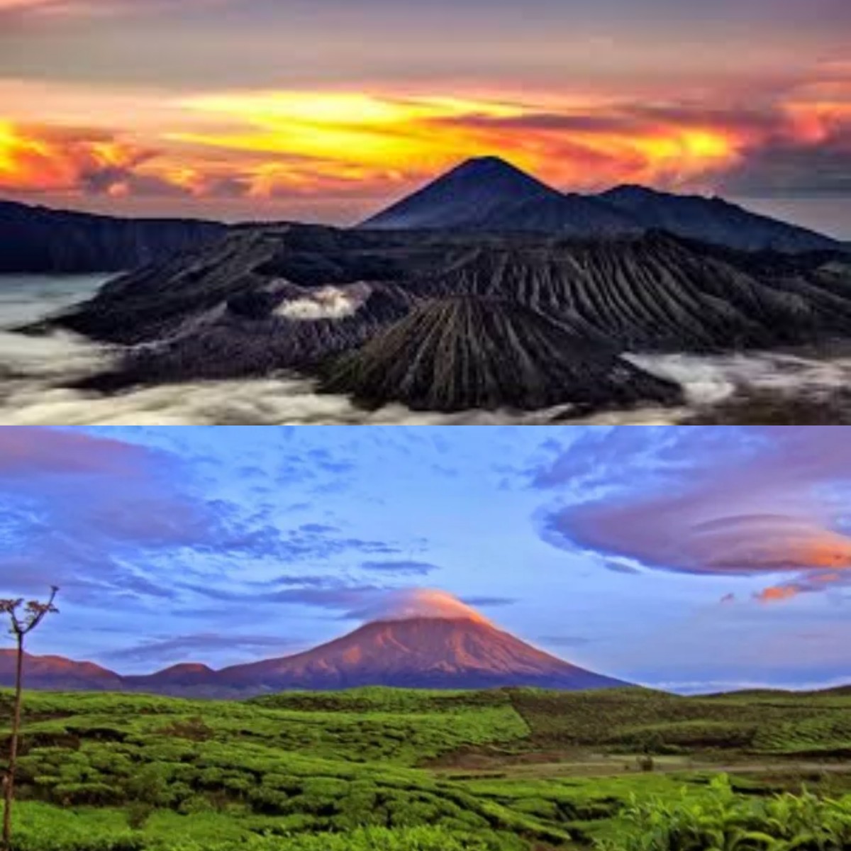 Tertarik Mendaki Gunung di Indonesia? Ini 5 Pemandangan Terindah yang Harus Kamu Lihat!