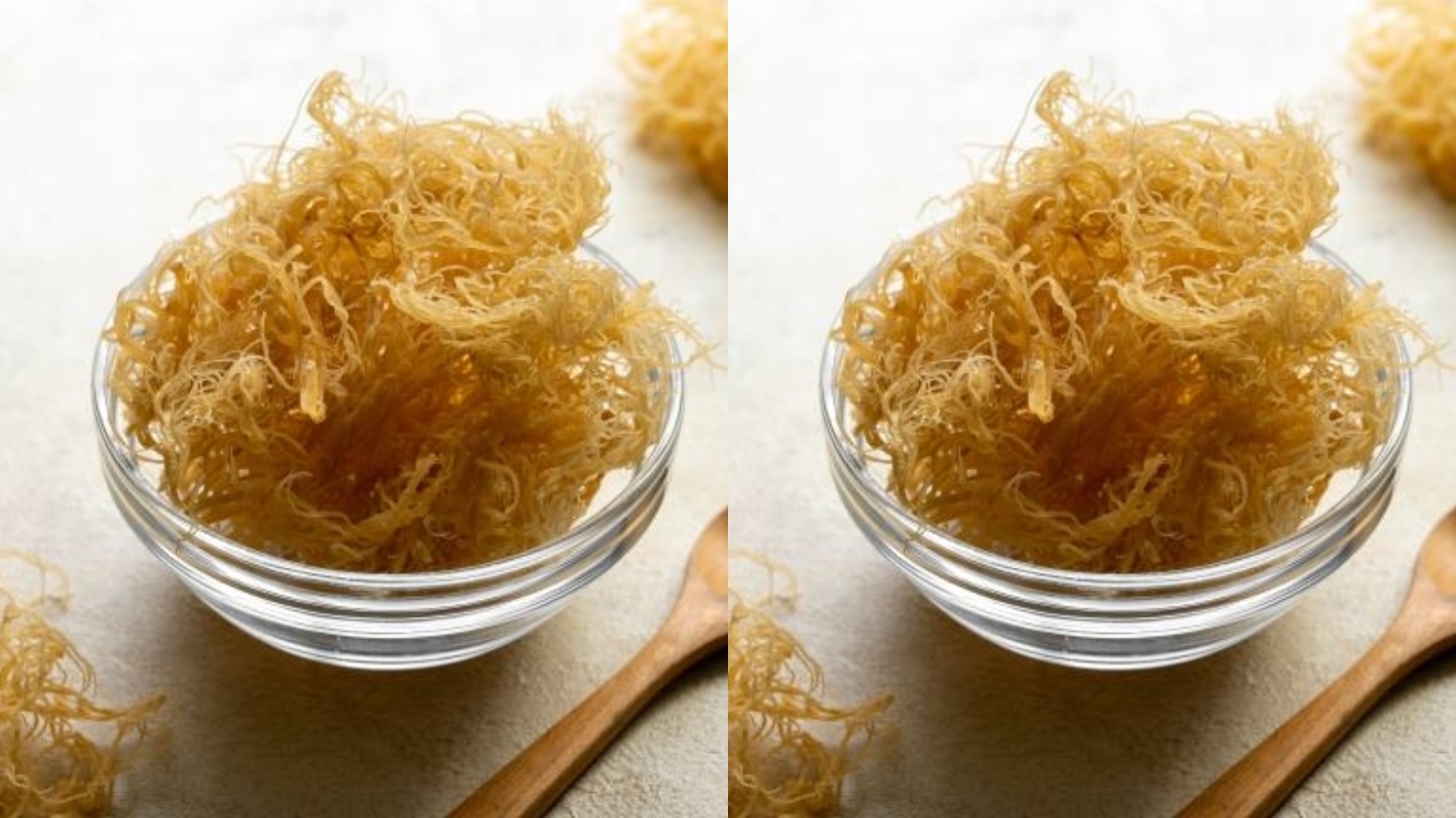 Intip Disini! Kandungan Nutrisi Dan Manfaat Dari Lumut Laut Yang Luar Biasa