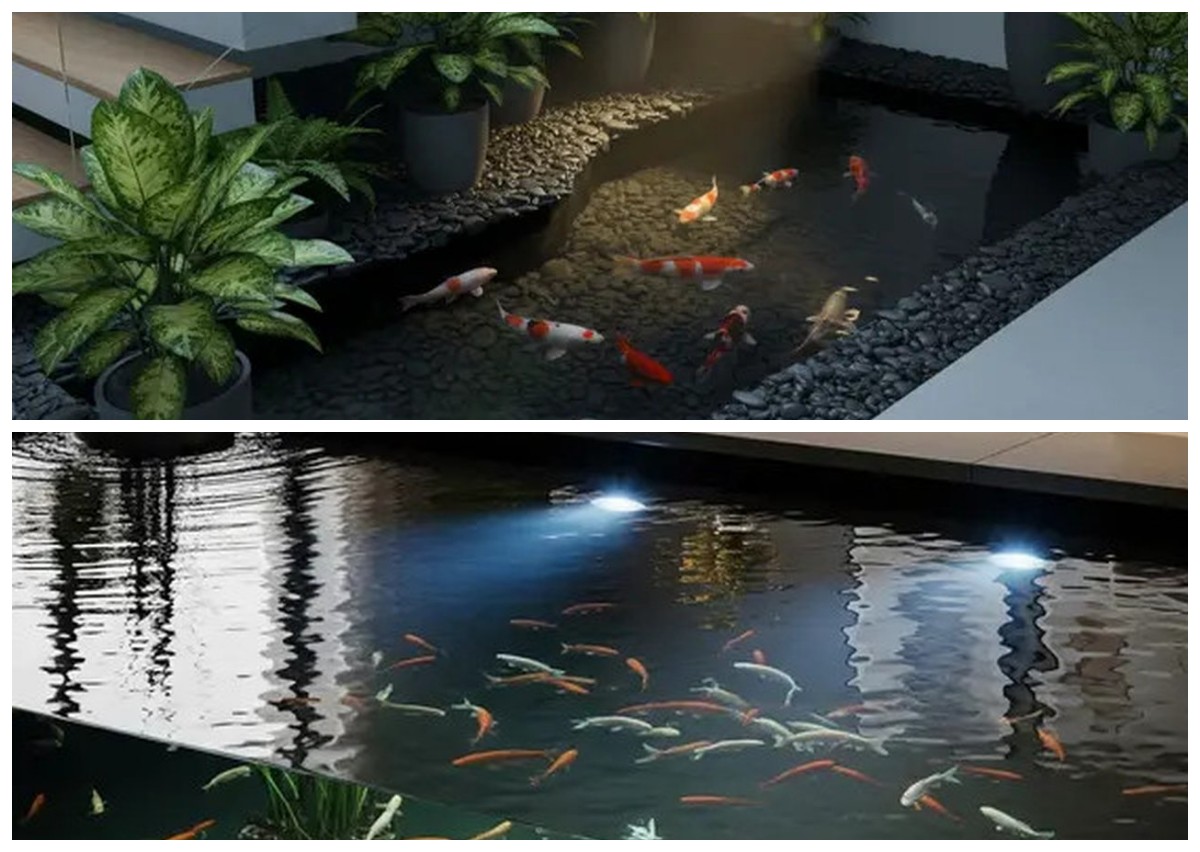 5 Desain Kolam Ikan Hias Minimalis yang Estetik dan Bikin Suasana Rumah Auto Adem!