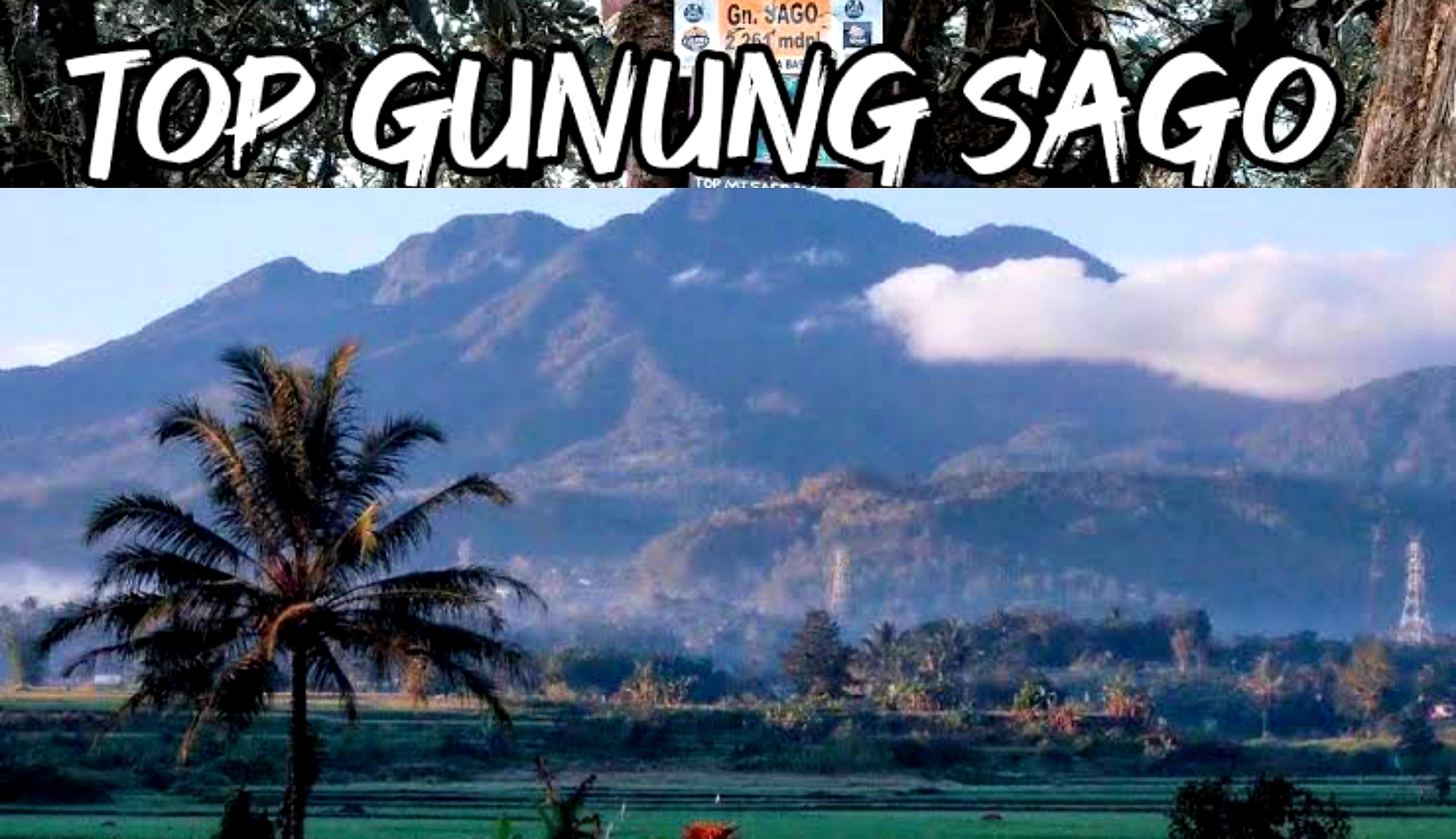 Pesona dan Daya Tarik Puncak Sumatera Barat. Inilah Gunung Sago yang Menjulang Gagah