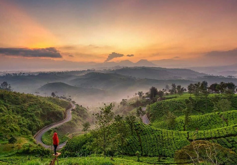 Wajib Tahu, 8 Rekomendasi Wisata di Pangalengan yang Punya Spot Foto Keren 