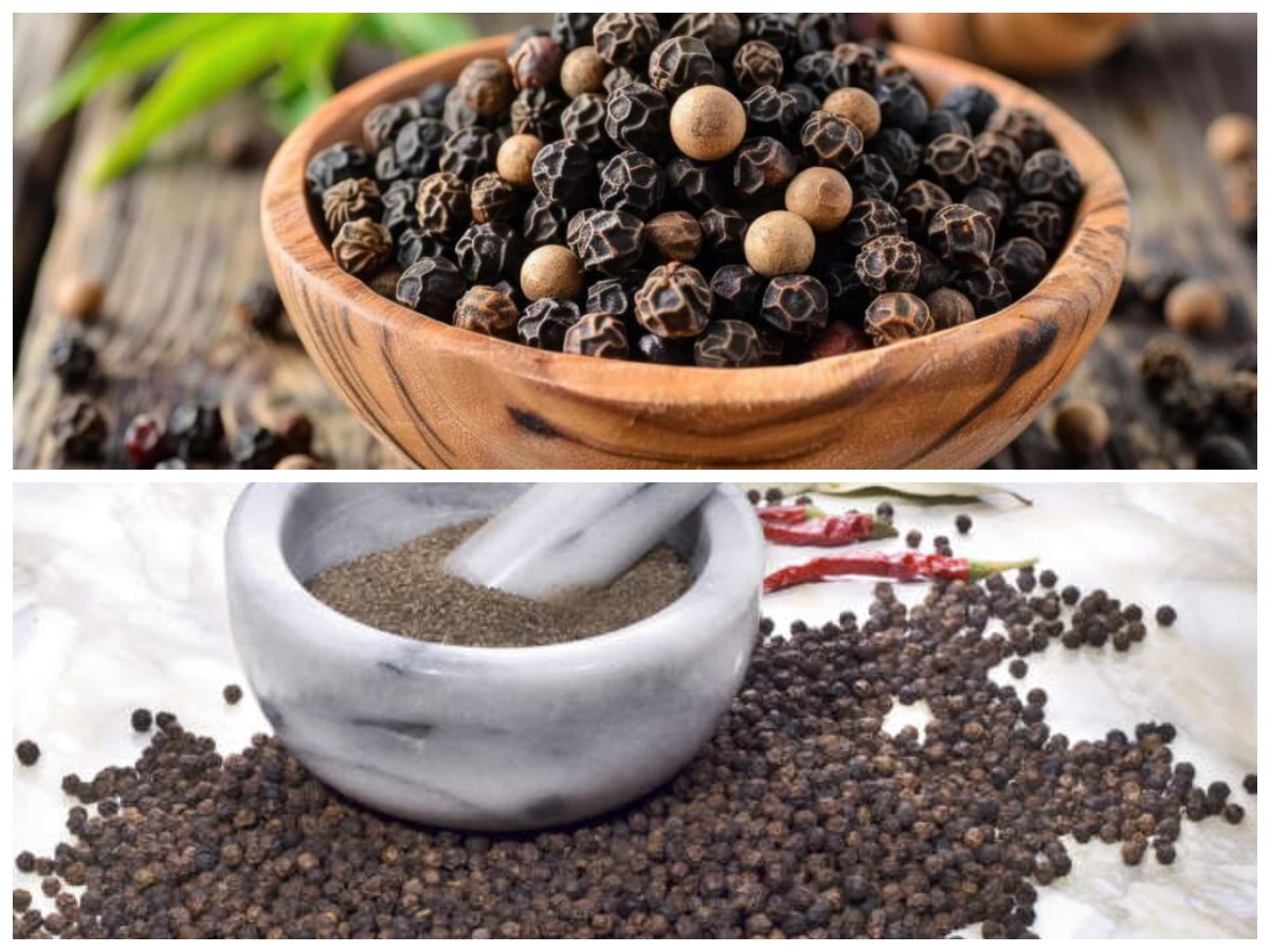 Manfaat Lada Hitam bagi Tubuh: Kaya Nutrisi dan Ampuh Jaga Kesehatan
