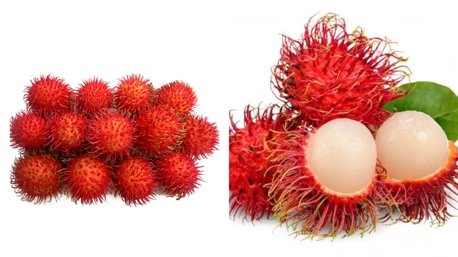 Membantu Mengatasi Anemia Teryata Ini Manfaat Buah Rambutan Guys! 