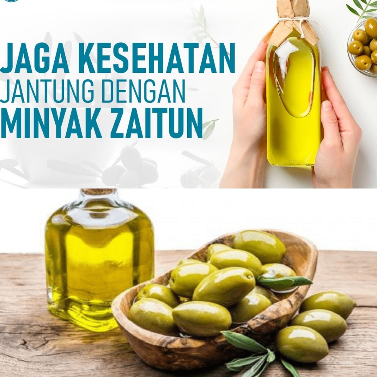 Ingin Tubuh Sehat? Coba 5 Manfaat Buah Zaitun Ini!