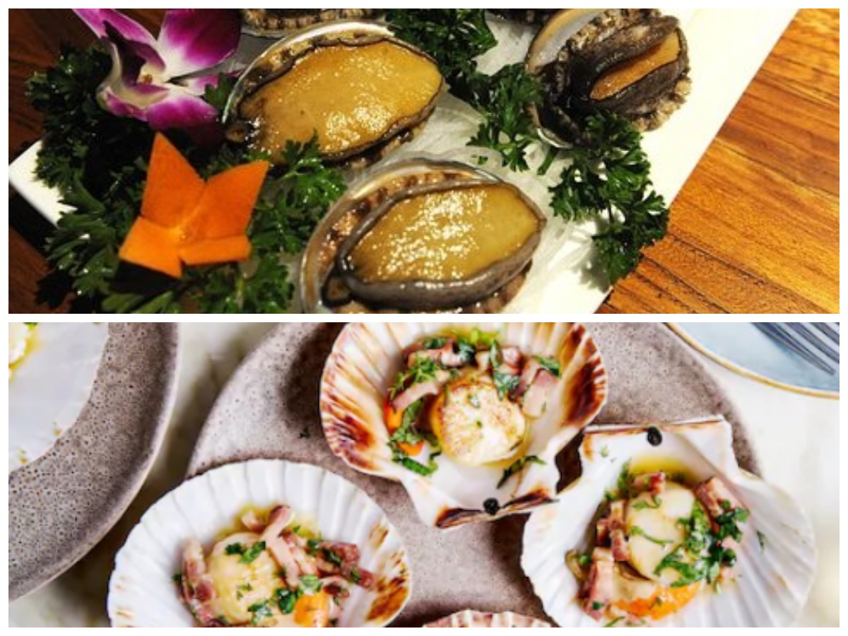 Dikenal Sebagai Superfood Laut, Ini Kandungan dan Khasiat Kerang Simping yang Jarang Diketahui!