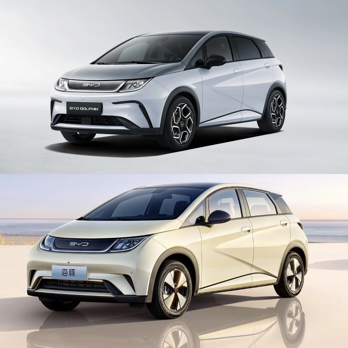 BYD Dolphin Makin Populer, Simbol Baru Gaya Hidup Gen Z