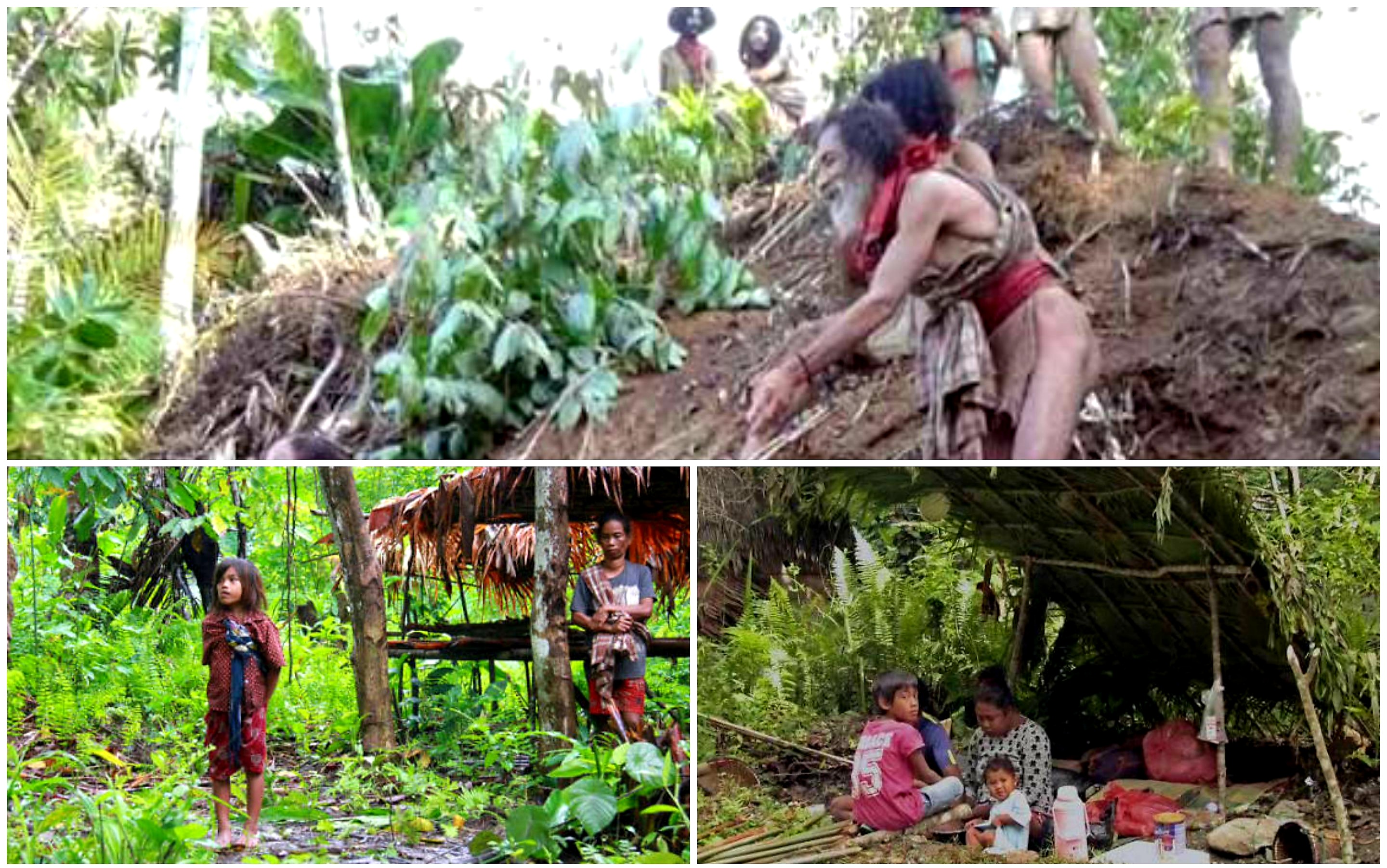 Tugotil; Suku Asli Dan Penjaga Hutan-hutan Halmahera Maluku