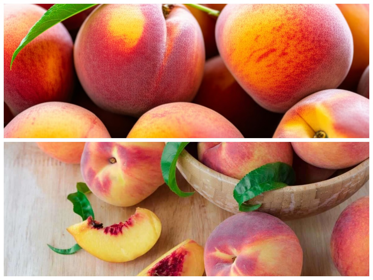 Tak Hanya Lezat, Ini Dia 7 Manfaat Buah Persik yang Baik untuk Kesehatan Anda!