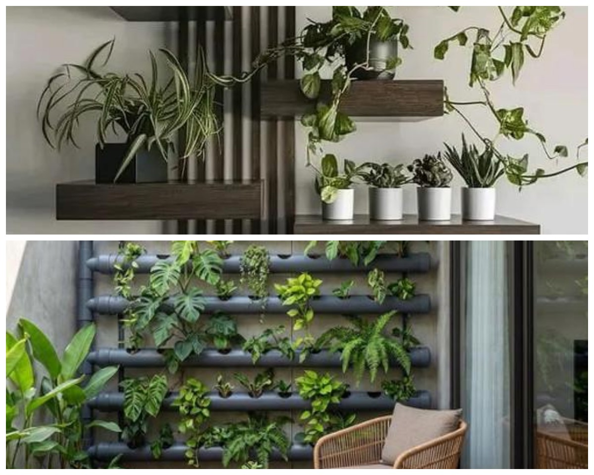 7 Ide Menata Pot Tanaman Rambat 2026: Cara Jenius Dekorasi Hunian Sempit Jadi Super Asri dan Mewah!