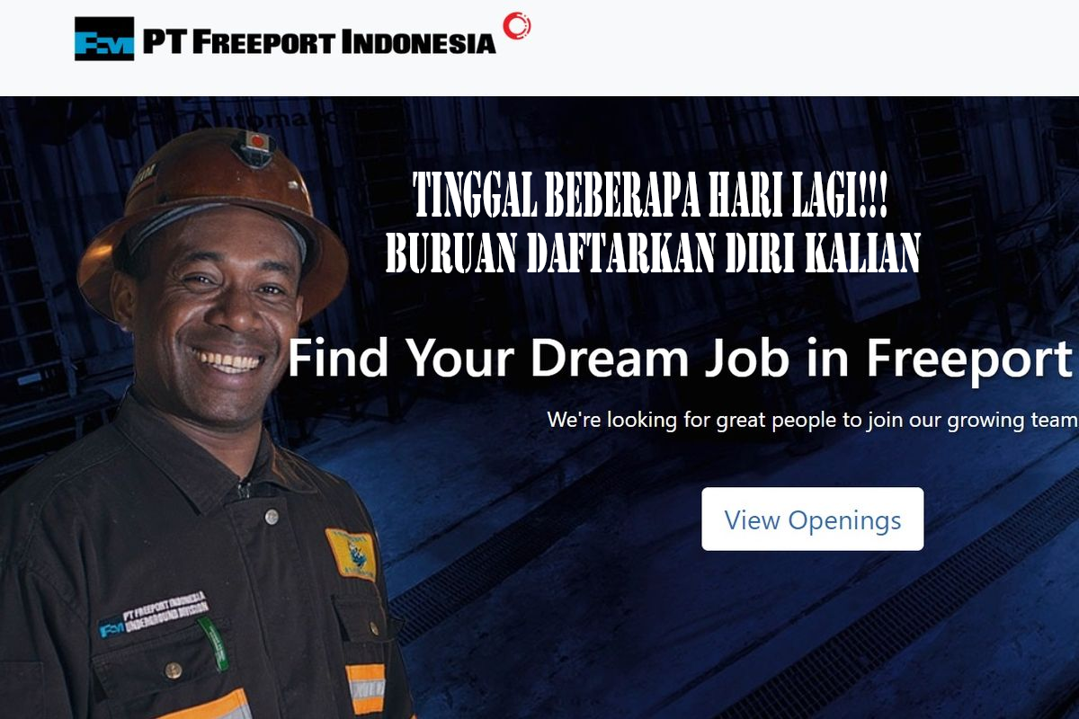 PT Freeport Indonesia Buka Lowongan Kerja untuk Data Scientist, Batas Pendaftaran 16 Agustus