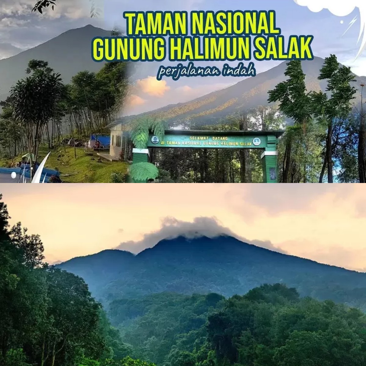 Mau Menjelajahi Keindahan Gunung Halimun? Siapkah Kamu Menghadapinya!