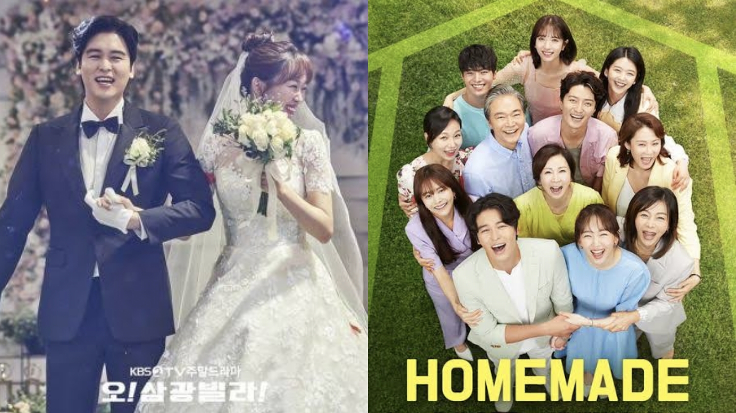 Yuk Simak Sinopsis Homemade Love Story, Drama Romansa yang Tuai Kontroversi