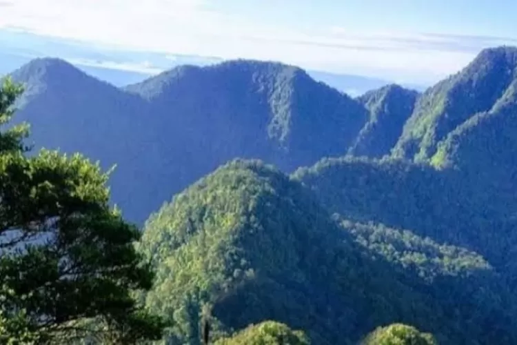 Mengenal Gunung Djadi, Keajaiban Alam Tersembunyi di Serambi Mekkah Riau