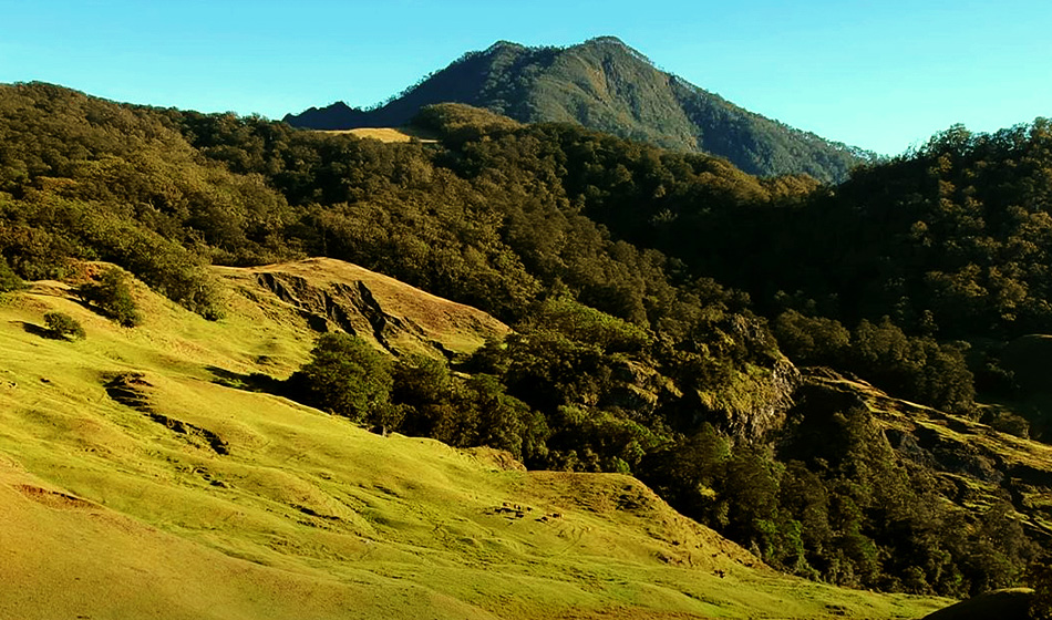 Eksplorasi Gunung Mutis, Inilah 3 Alasan Mengapa Pendaki Wajib Berkunjung di Dataran Pulau Timor