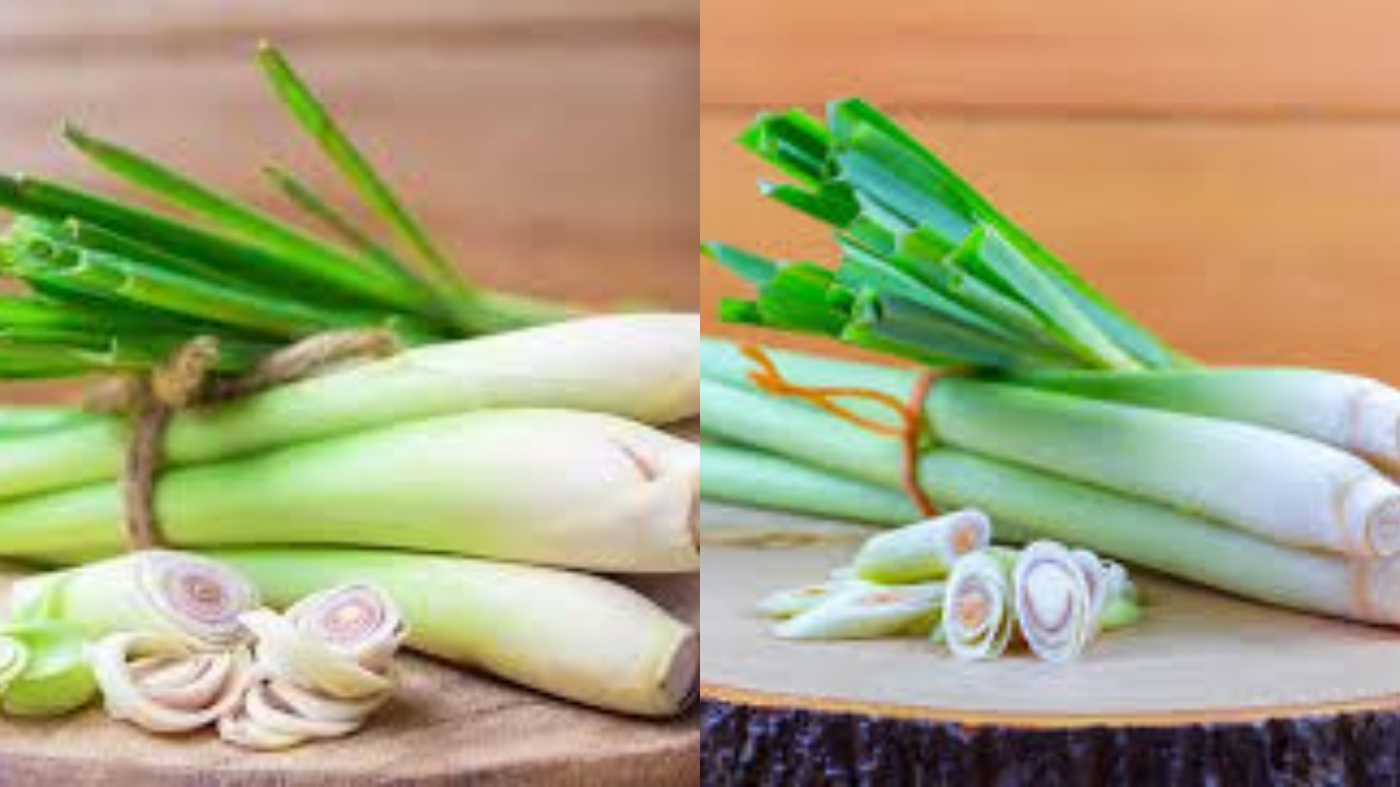 Yuk Initip! 9 Manfaat Sereh untuk Kesehatan Yang Harus Kalian Tahu